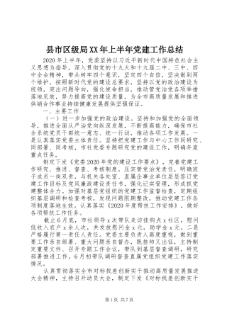 县市区级局XX年上半年党建工作总结