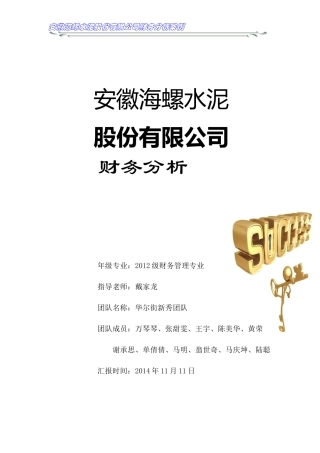 水泥股份有限公司财务分析