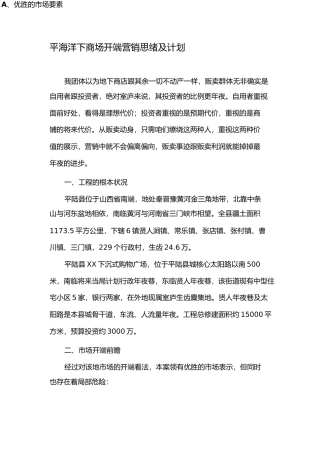 平陆地下商场项目计划报告