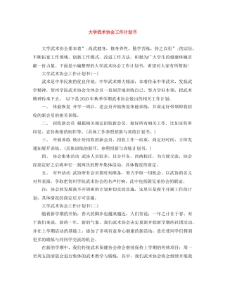 大学武术协会工作计划书 