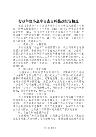 行政单位小金库自查自纠整改报告精选