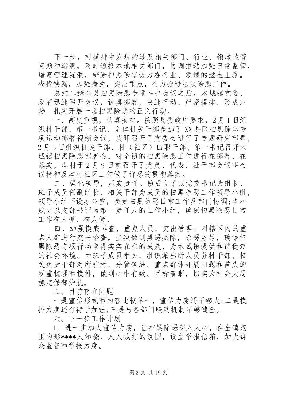 市公安局扫黑除恶专项行动总结十二篇_第2页