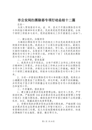 市公安局扫黑除恶专项行动总结十二篇