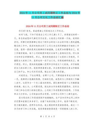 2024年11月公司员工试用期转正工作总结与2024年11月公司文化工作总结汇编