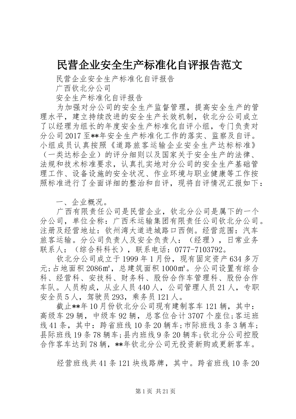 民营企业安全生产标准化自评报告范文_第1页
