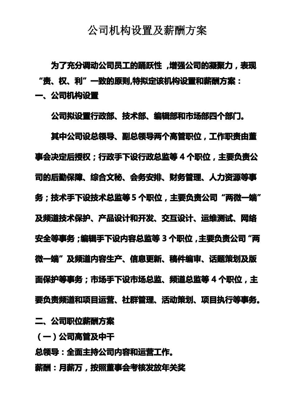 新媒体公司机构设置薪酬方案及鼓励机制_第1页