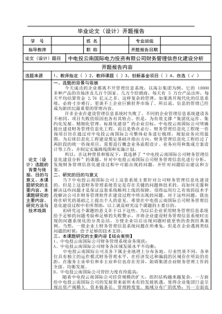 国际电力投资有限公司财务管理信息化建设分析