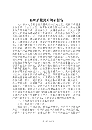名牌质量提升调研报告