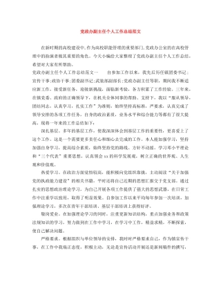 党政办副主任个人工作总结范文 