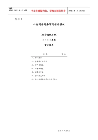 《社会团体财务审计报告模板》