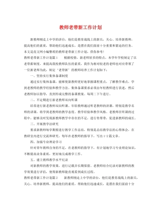 教师老带新工作计划 