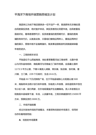 平陆地下商场项目计划报告1)