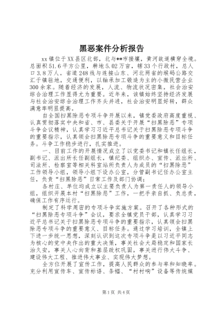 黑恶案件分析报告