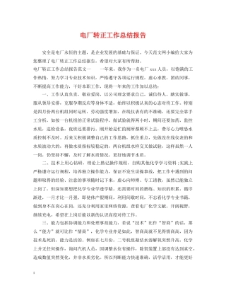 电厂转正工作总结报告 