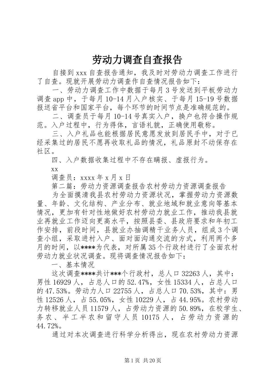 劳动力调查自查报告_第1页