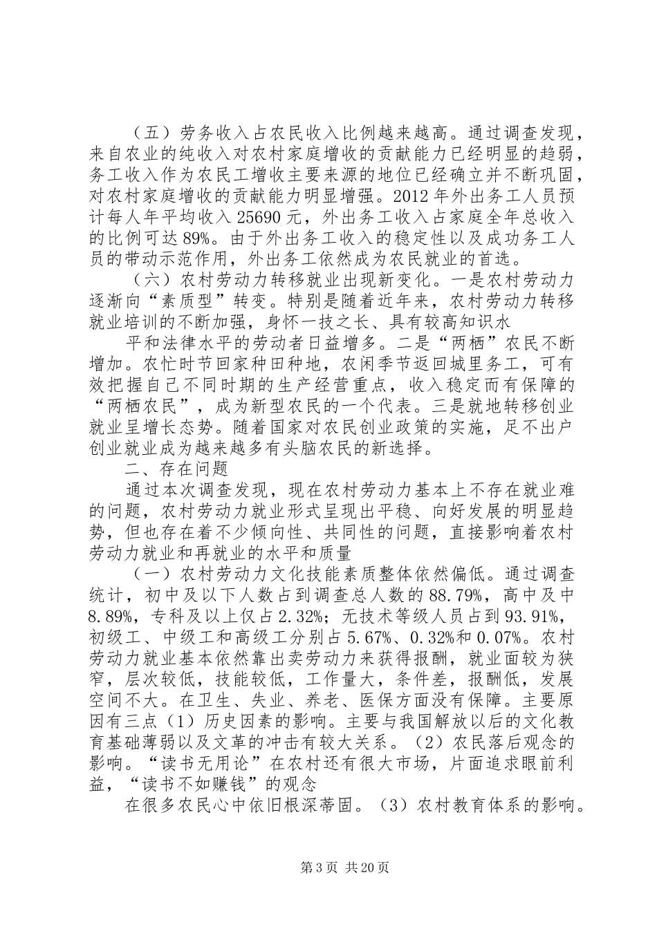 劳动力调查自查报告_第3页