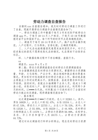劳动力调查自查报告