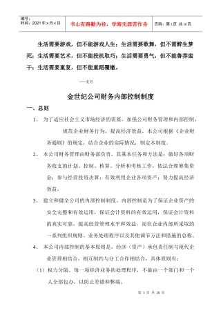 财务内部控制制度(doc 9页)