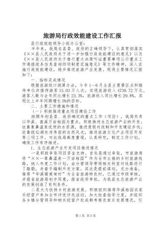 旅游局行政效能建设工作汇报