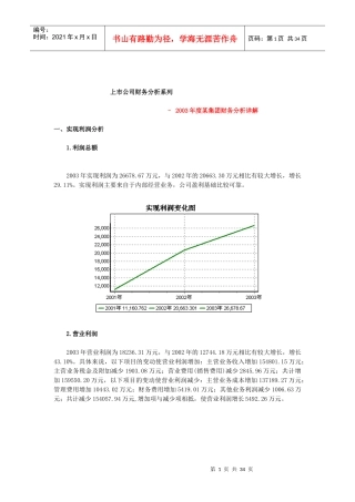 某集团公司年度财务分析