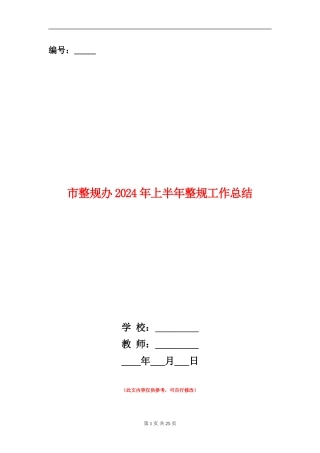 市整规办2024年上半年整规工作总结