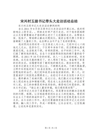 宋兴村五级书记带头大走访活动总结