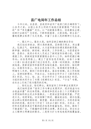 县广电局年工作总结