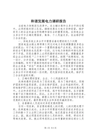 和谐发展电力调研报告