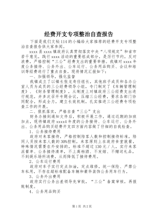 经费开支专项整治自查报告