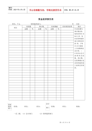 资金差异报告表