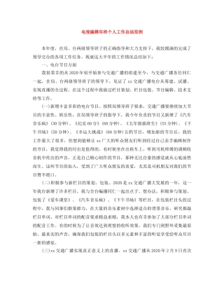 电视编辑年终个人工作总结范例 