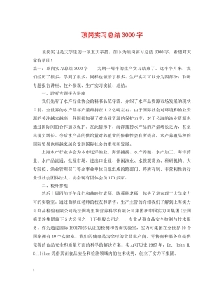 顶岗实习总结3000字 