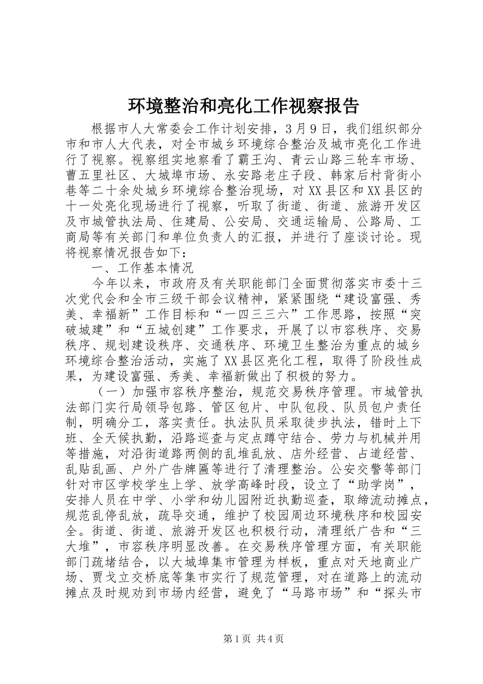 环境整治和亮化工作视察报告_第1页
