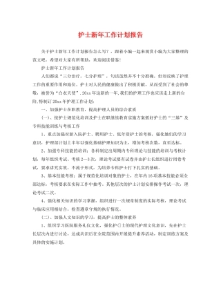 护士新年工作计划报告 