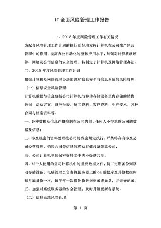 IT全面风险管理工作报告