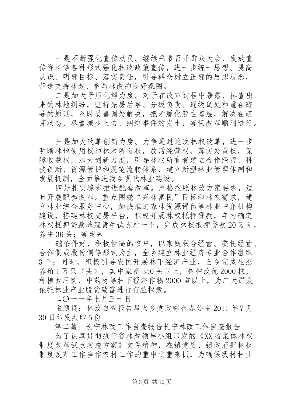 林改自查报告[范文模版]_第3页