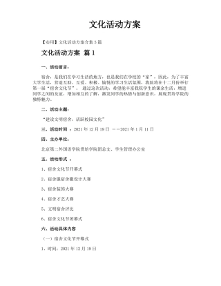文化活动方案