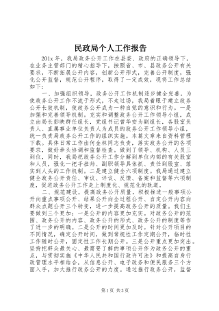 民政局个人工作报告