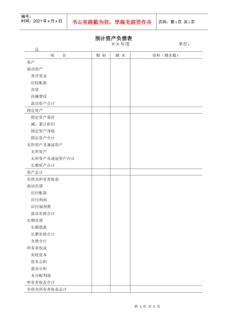 预计资产负债表