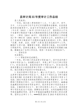 县审计局XX年度审计工作总结