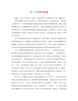 大一个人学习总结 