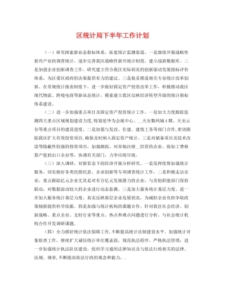 区统计局下半年工作计划 
