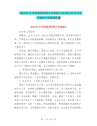 2024年12月业务员年终工作总结2与2024年12月个人培训工作总结汇编