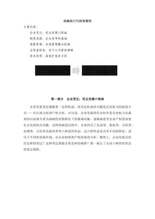 战略执行与财务管控( 103页)