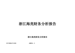 浙江海亮财务分析报告