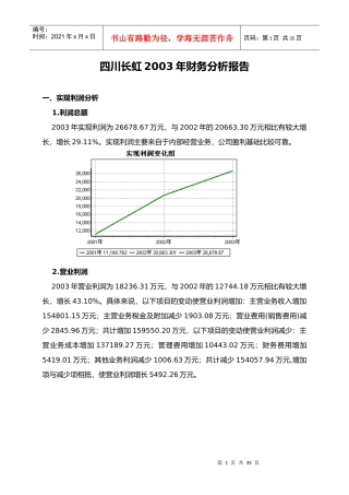 四川长虹某年财务分析报告