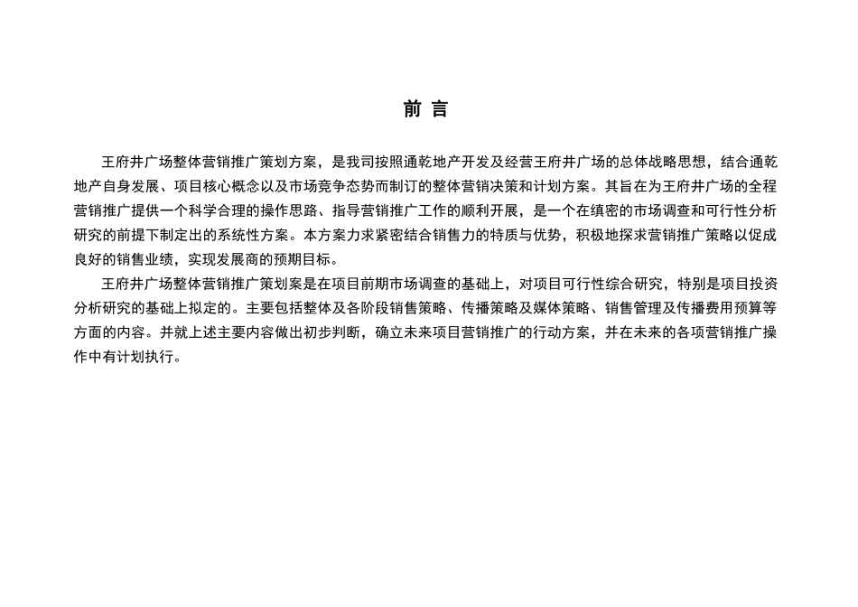 山东淄博王府进广场营销推广策划案89_第3页