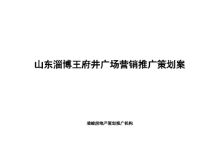 山东淄博王府进广场营销推广策划案89