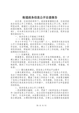 街道政务信息公开自查报告