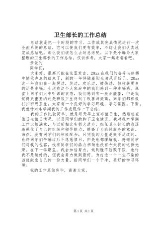 卫生部长的工作总结